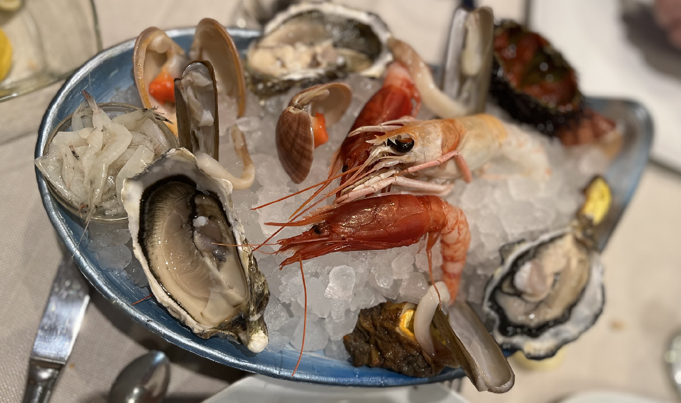 Unforgettable Seafood Feast at Terraferma – A Milan Sensation!