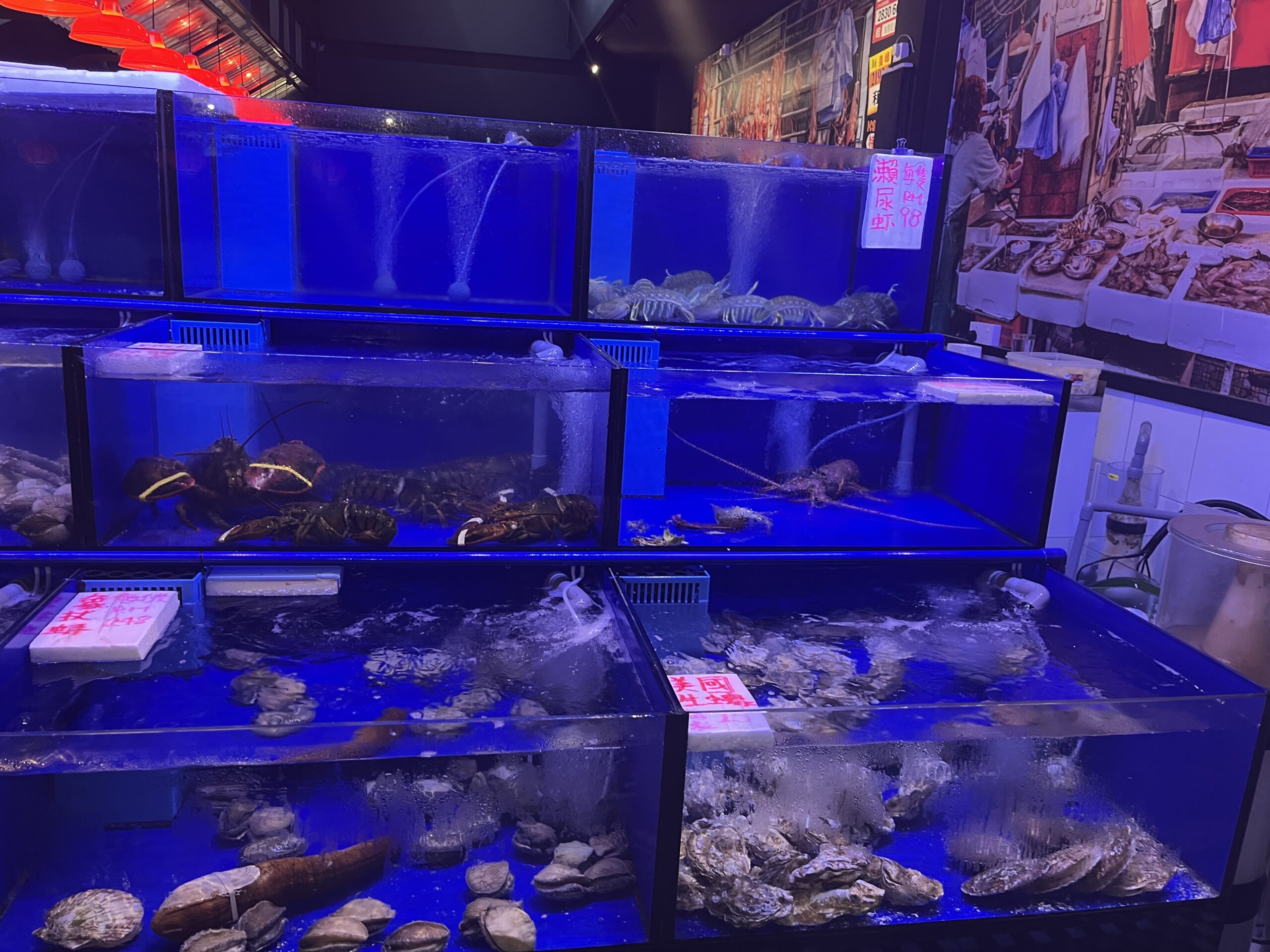 Uncover Sensational Hong Kong Seafood in Kuala Lumpur!